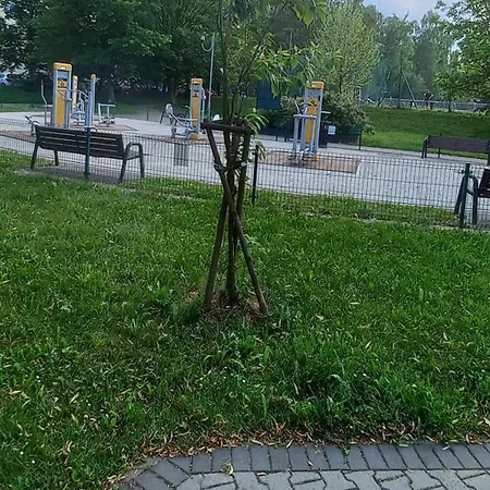 Juki, Mieszkanie Obok Katowice Wynajem Na Doby, Krotkoterminowy, 2 Balkon, 50m2,- Po Kapitalnym Remoncie 2-ga Sypialnia Jest Czescia Salonu Blisko Centrum Leczenia Oparzen 2,5 Km