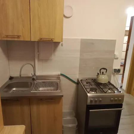 Apartment Juki, Mieszkanie Obok Katowice Wynajem Na Doby, Krotkoterminowy, 2 Balkon, 50m2,- Po Kapitalnym Remoncie 2-ga Sypialnia Jest Czescia Salonu Blisko Centrum Leczenia Oparzen 2,5 Km Siemianowice Slaskie