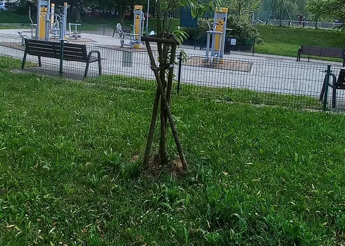 Juki, Mieszkanie Obok Katowice Wynajem Na Doby, Krotkoterminowy, 2 Balkon, 50m2,- Po Kapitalnym Remoncie 2-ga Sypialnia Jest Czescia Salonu Blisko Centrum Leczenia Oparzen 2,5 Km