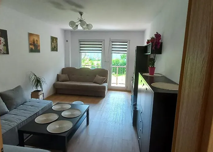 Juki, Mieszkanie Obok Katowice Wynajem Na Doby, Krotkoterminowy, 2 Balkon, 50m2,- Po Kapitalnym Remoncie 2-ga Sypialnia Jest Czescia Salonu Blisko Centrum Leczenia Oparzen 2,5 Km *