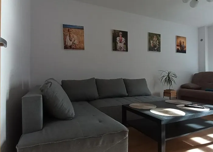 Juki, Mieszkanie Obok Katowice Wynajem Na Doby, Krotkoterminowy, 2 Balkon, 50m2,- Po Kapitalnym Remoncie 2-ga Sypialnia Jest Czescia Salonu Blisko Centrum Leczenia Oparzen 2,5 Km